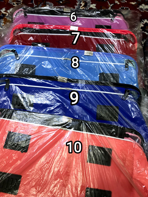 کیف حمل سگ و گربه مدل تمام طلق لاکچری سایز بزرگ